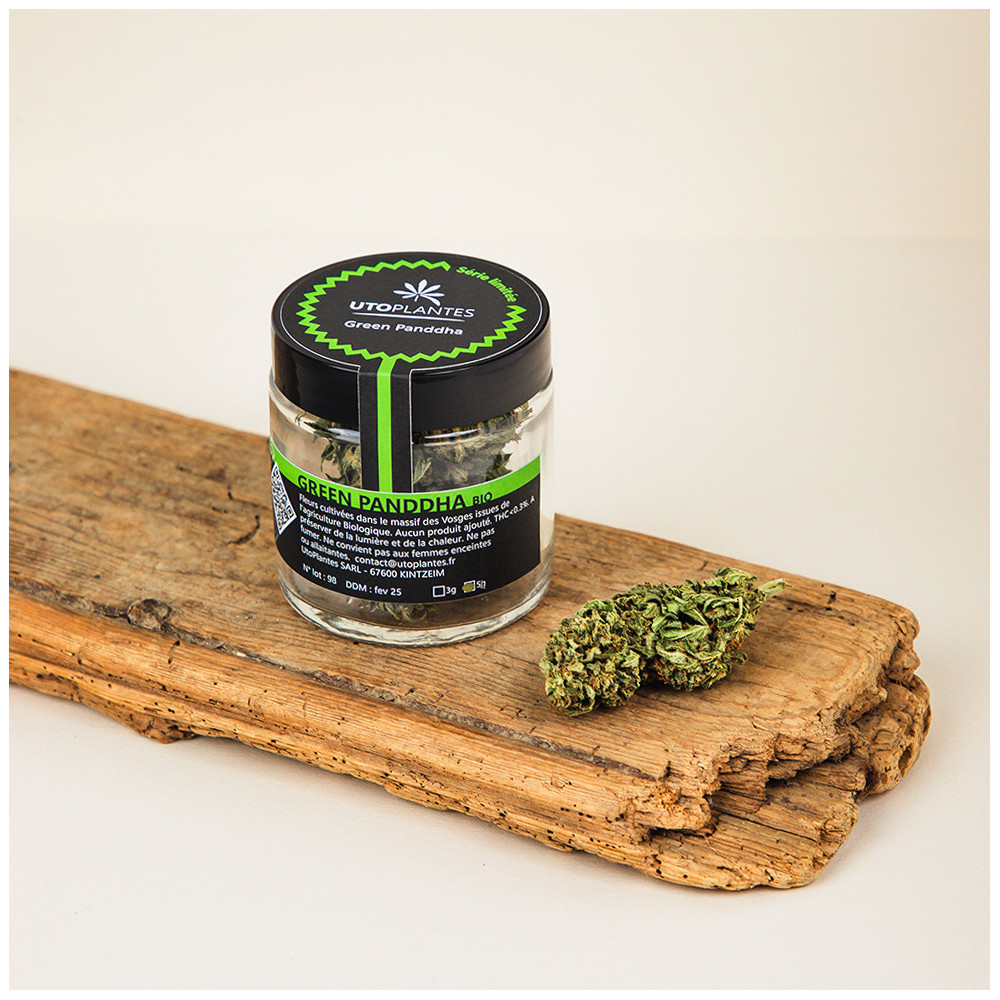 Fleurs de CBD - 8 à 10% - Green Panddha - Utoplantes