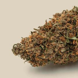 Fleurs de CBD Bio - Amethys Premium - Canebiera