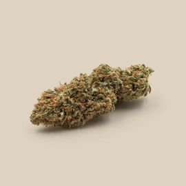 Fleurs de CBD Bio - Lemon Diesel Premium - Canebiera