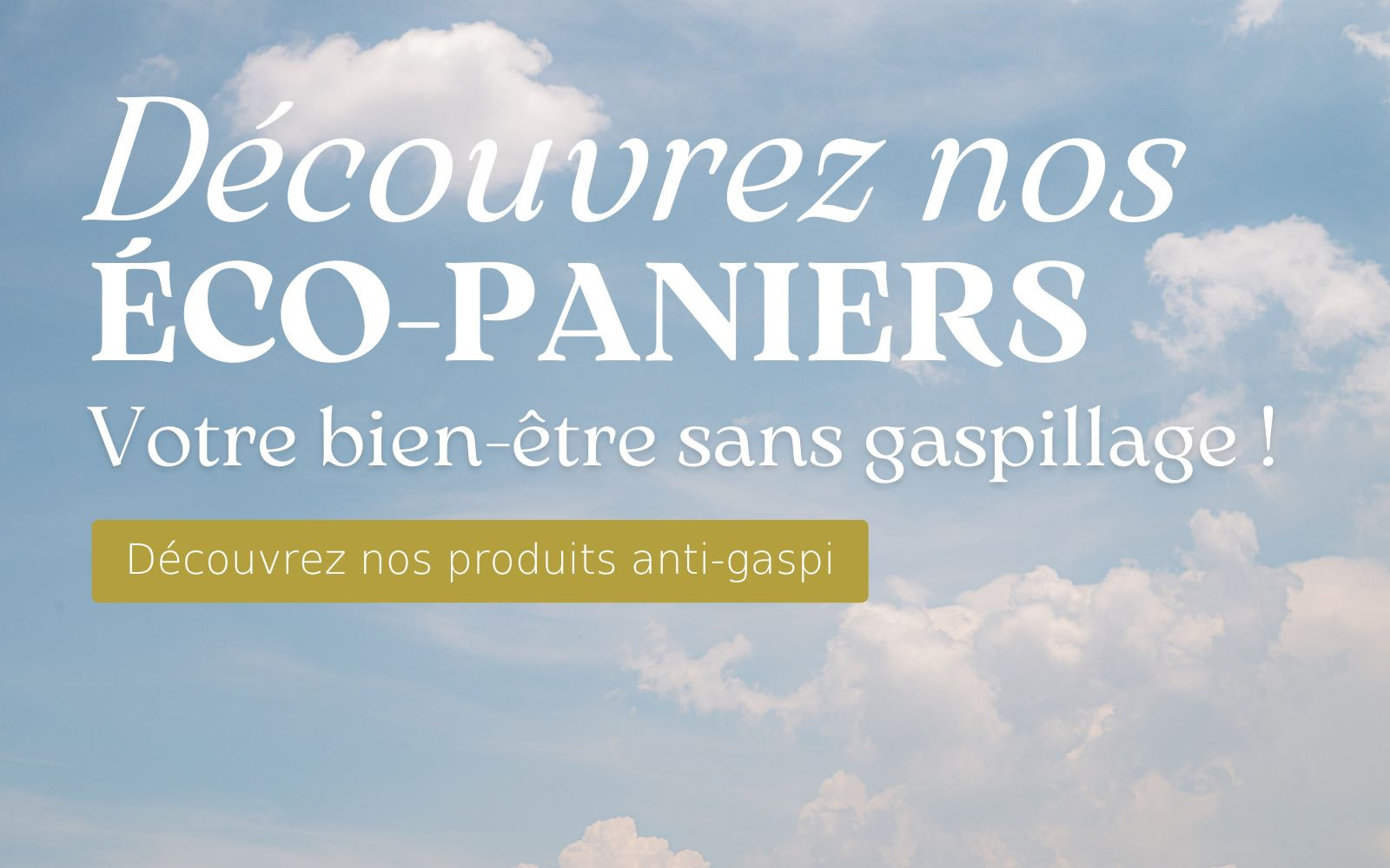 Découvrez nos écos-paniers